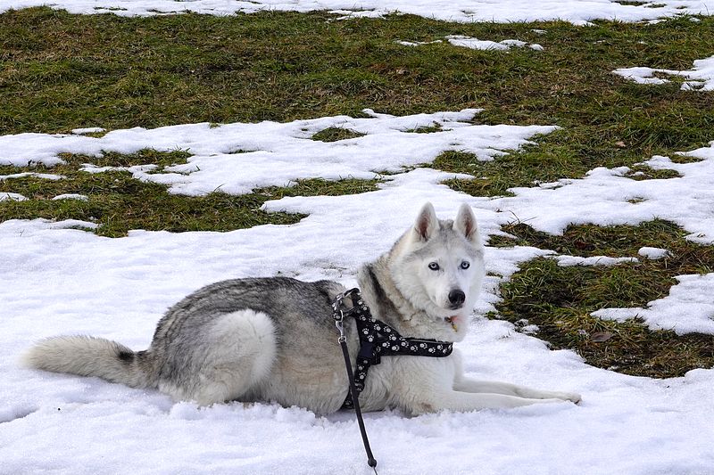 Ferienbeginn im Schnee