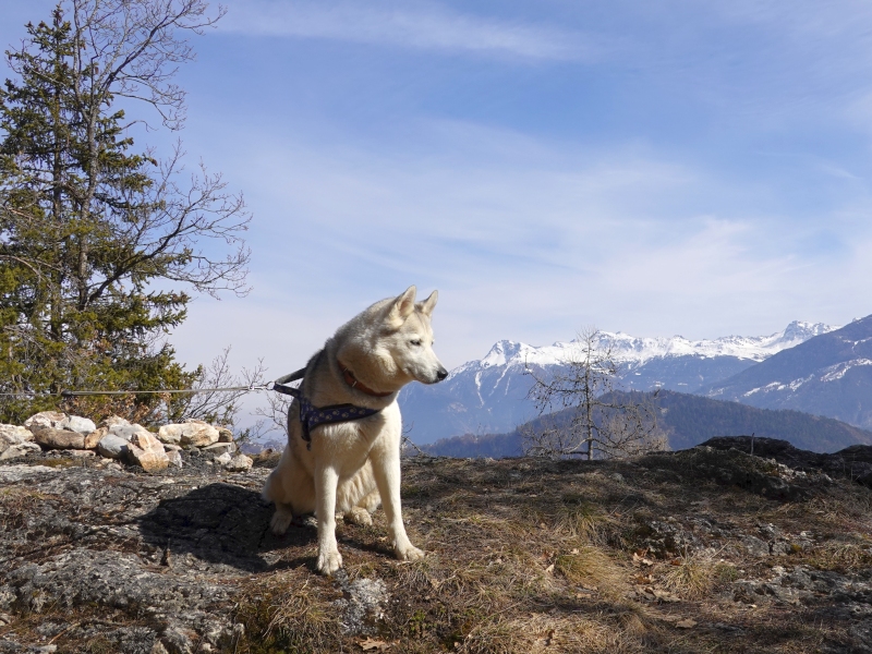 Oben an der Felswand mit Panorama Felswand