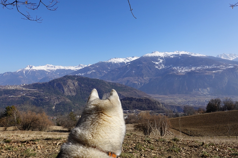 Blick in die Ferne Ferne