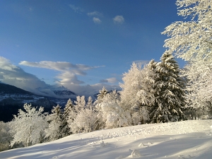Landschaft