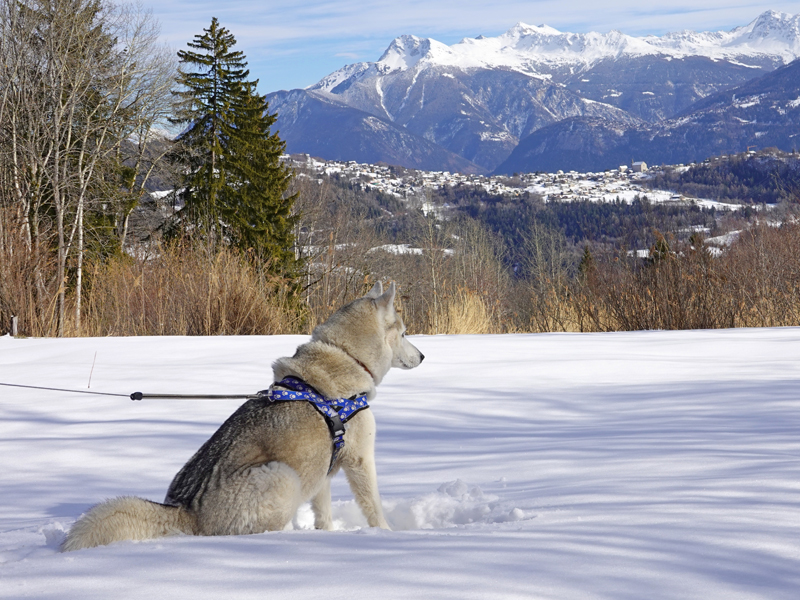 Im Neuschnee mit Aussicht Neuschnee