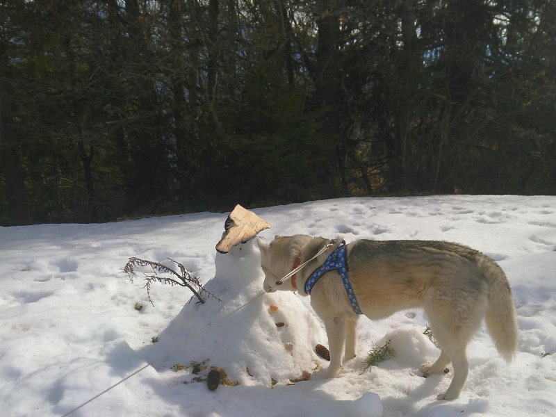 Im Schnee mit Schneemann Im Schnee