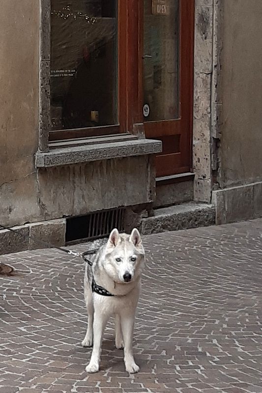 In der Stadt