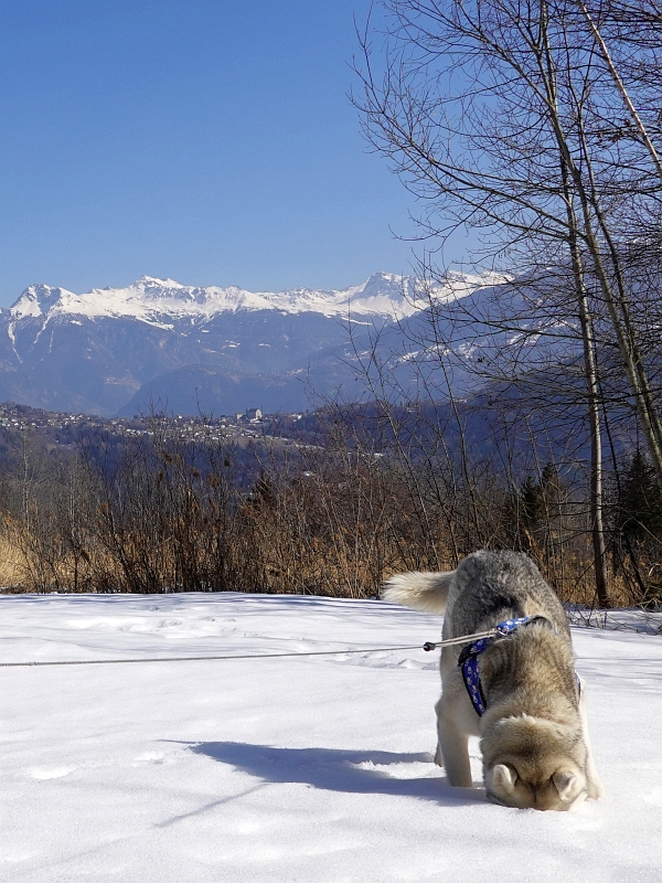 Jeden Tag im Schnee im Schnee