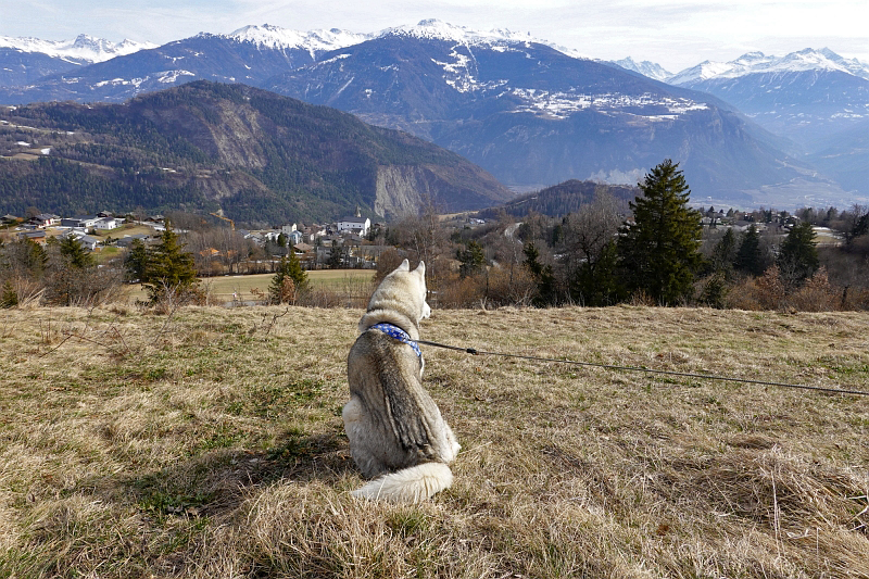 Blick von oben aufs Dorf und aufs Tal Ausblick